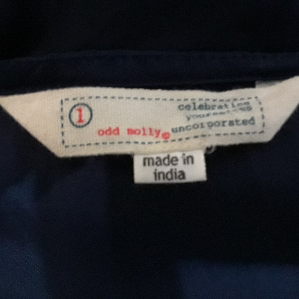 Odd Molly Blue Silky Embroidered Dress - Picture 4 of 4
